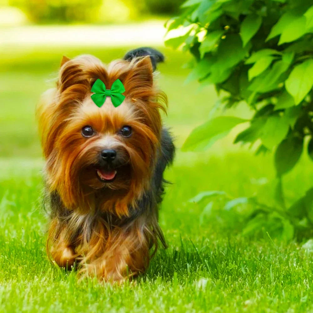 2PCS Solid Dog Bows Dog Hair Clips Pet - MyPetDollar.com