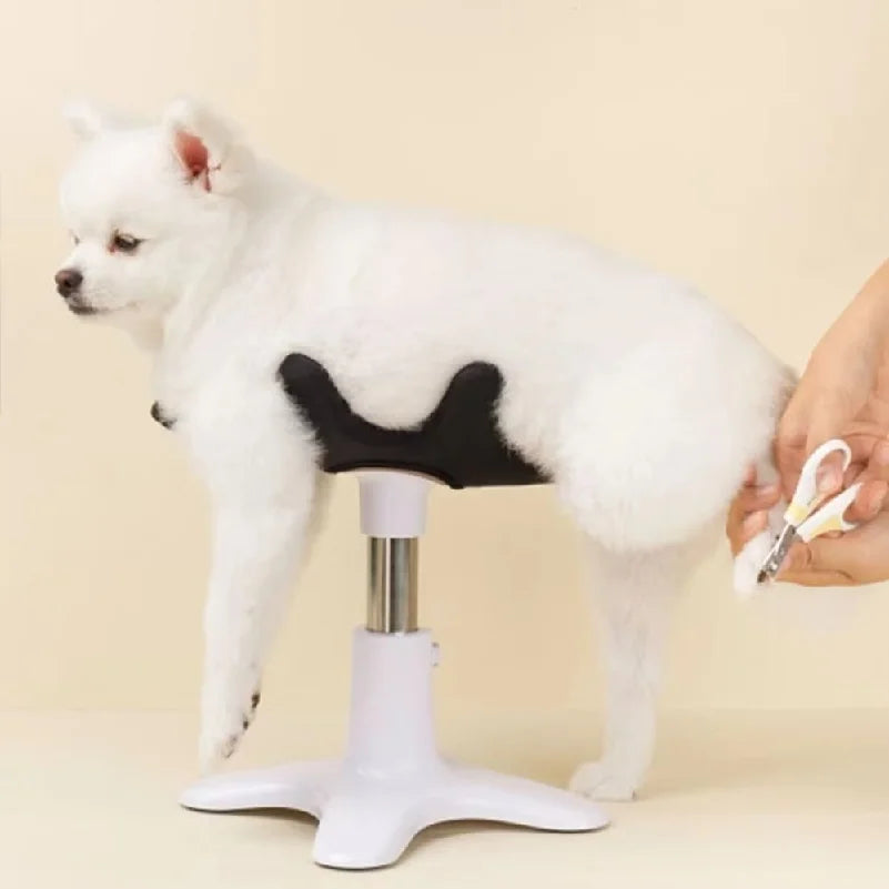 Dog Grooming Beauty Fixed Table Base Frame - MyPetDollar.com