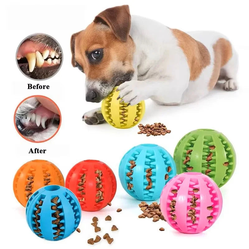 Interactive Silicone Rubber Ball for Dogs - MyPetDollar.com