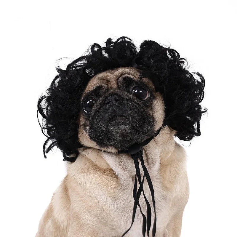 Pet Wig Dog and Cat Spoof Supplies Christmas Accessories Curly
