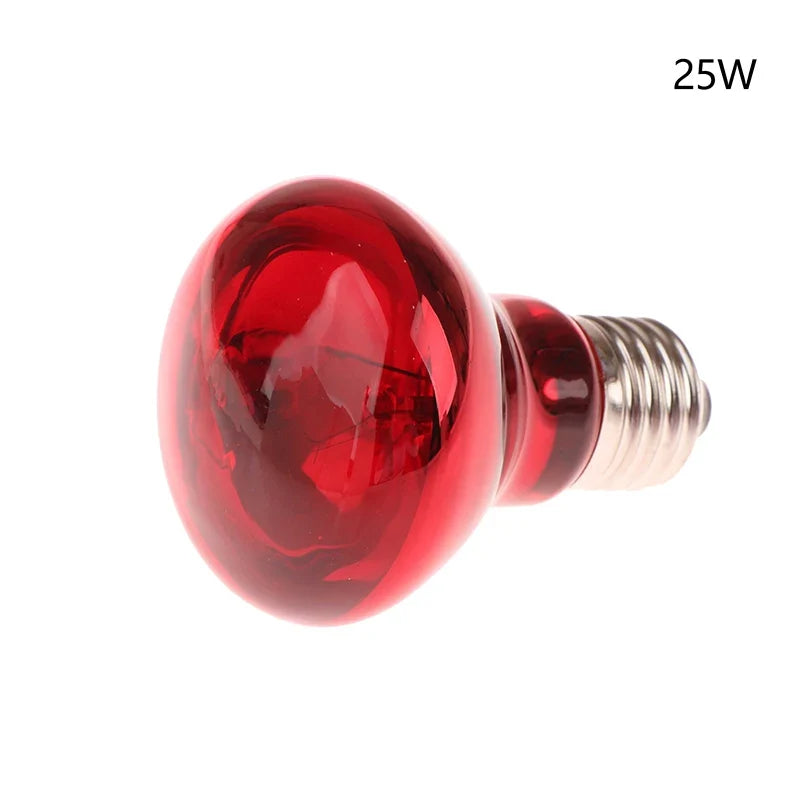 25 40 50 60 75 100w E27 UVA Poultry Bulb Infrared Night Light – 6 Colors