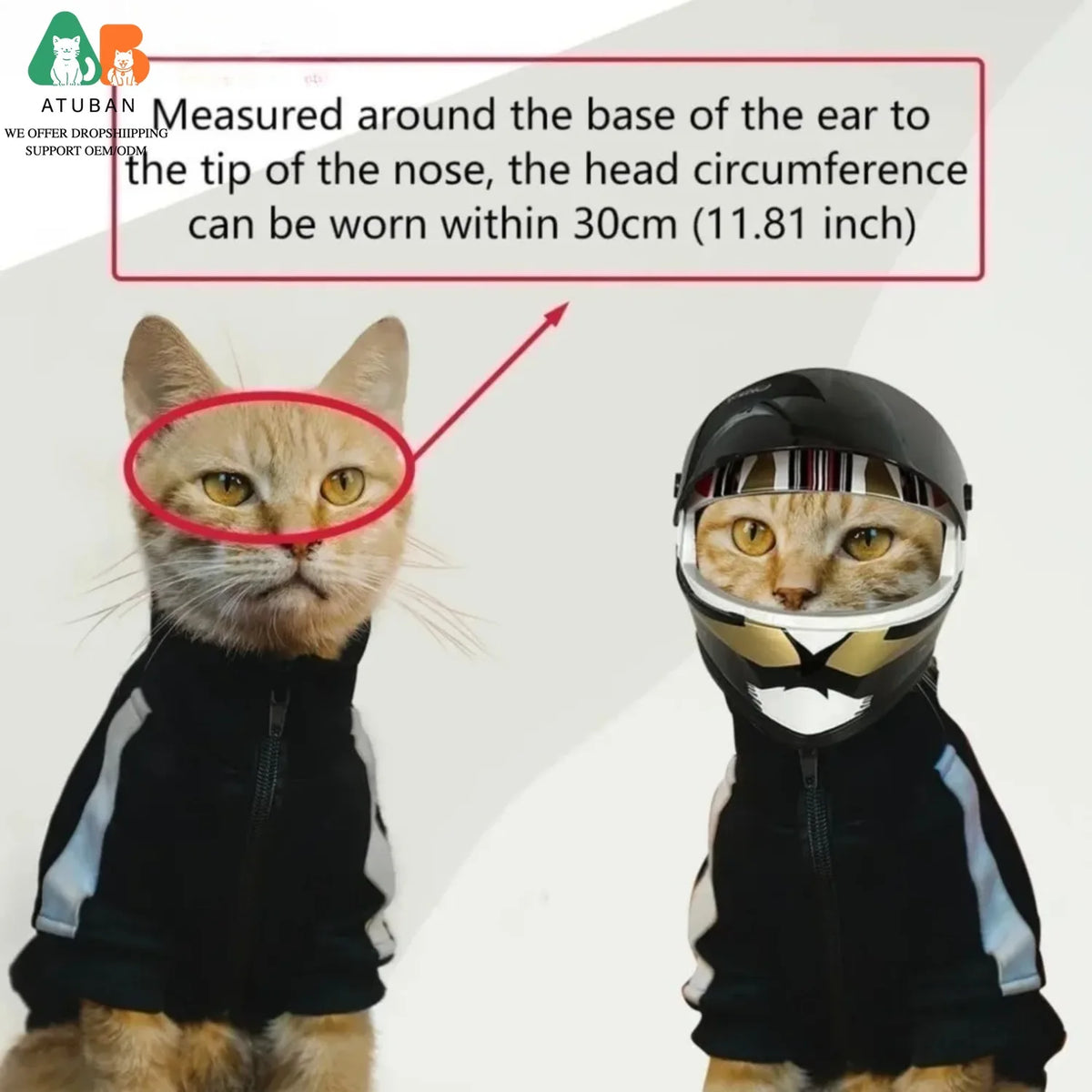 ATUBAN Pet Motorcycle Helmet, Puppy Cat - MyPetDollar.com