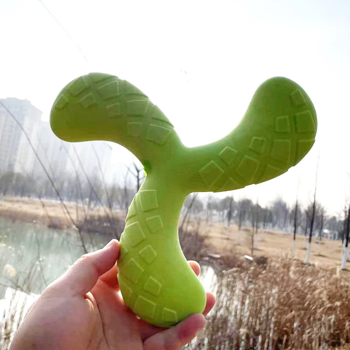 Fun Pet Toy Water Floating Triangle Boomerang
