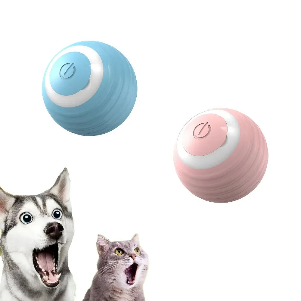 Cat Interactive Ball Smart Pet Cat Toys - MyPetDollar.com