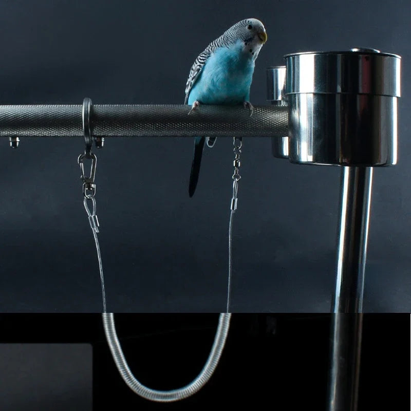 3M Parrot Bird Flying Training Leash - MyPetDollar.com