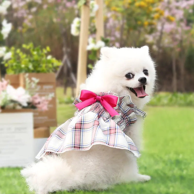Checkered Dog Dress, Dog Cat, Small and - MyPetDollar.com