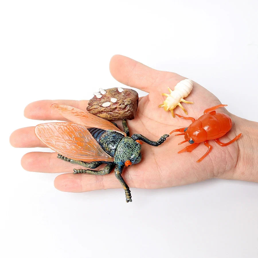 Realistic Insect Grasshopper Mosquito Cicad - MyPetDollar.com