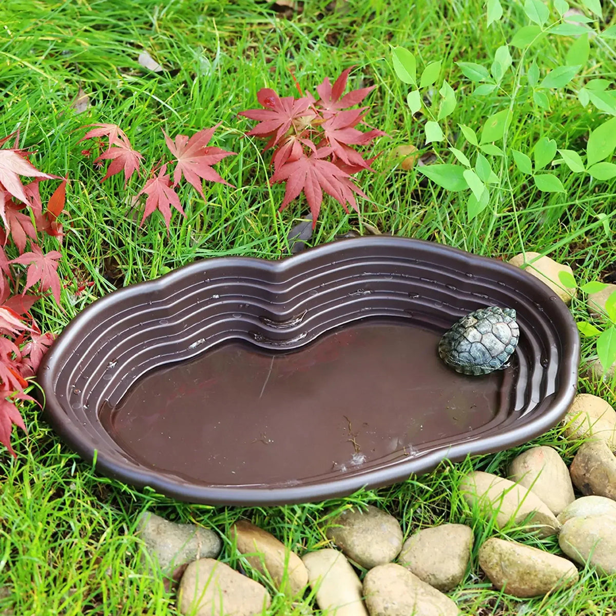 Reptile Bathing Pool Amphibians Accessories - MyPetDollar.com