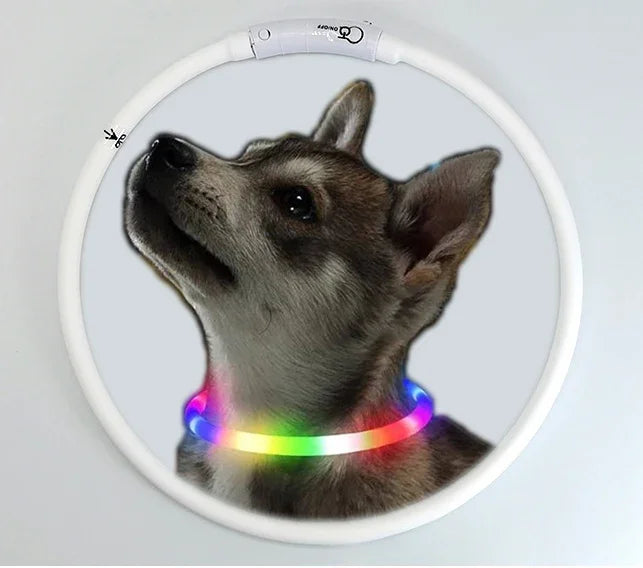 4 Modes Dog Luminou Charge Collar LED USB Cat Silicone