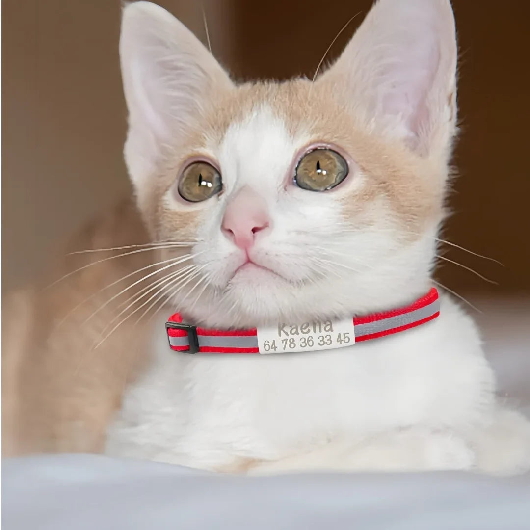 13 Colors Custom Engraved Reflective Cat - MyPetDollar.com