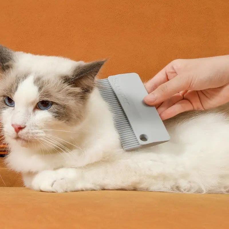 Pet Hair Removal Brush Cat Fur Scraper Dog - MyPetDollar.com