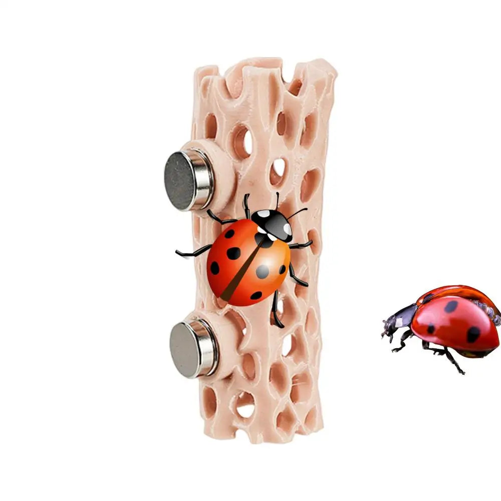 Spider Habitat Magnetic Reptile Hiding Place Amphibian – 2 Colors