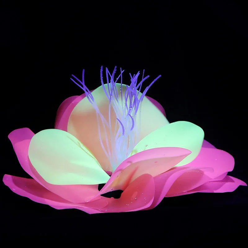 Aquarium Fish Tank Decorations with - MyPetDollar.com