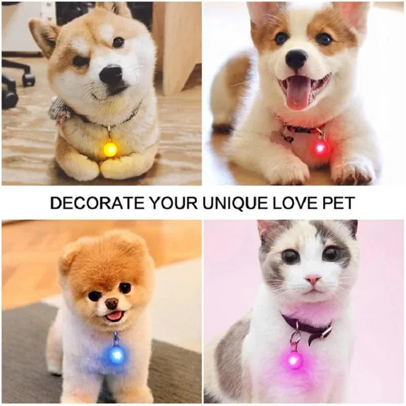 LED Dog Collar Pendant Luminous Leash - MyPetDollar.com