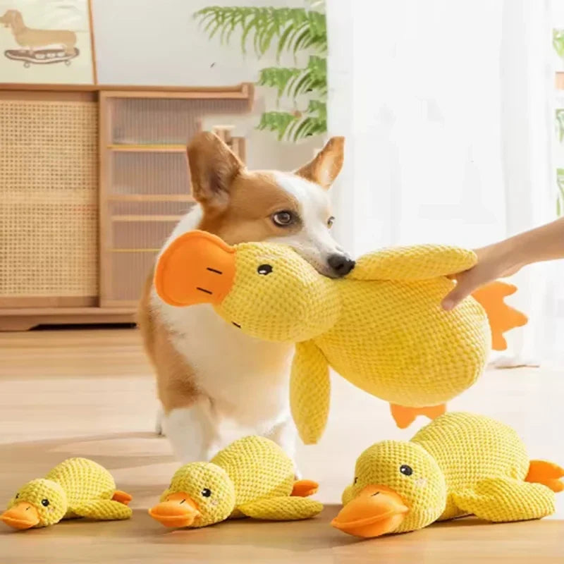 Yellow Duck Plush Toy, Dog Sleeping - MyPetDollar.com