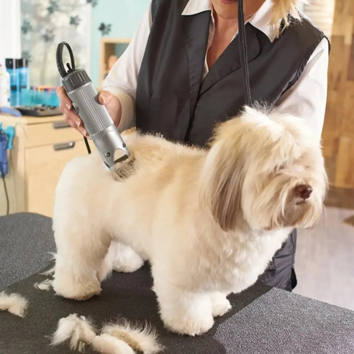 4F,5F,7FC,10#,30#,40# Professional Pet Dog - MyPetDollar.com