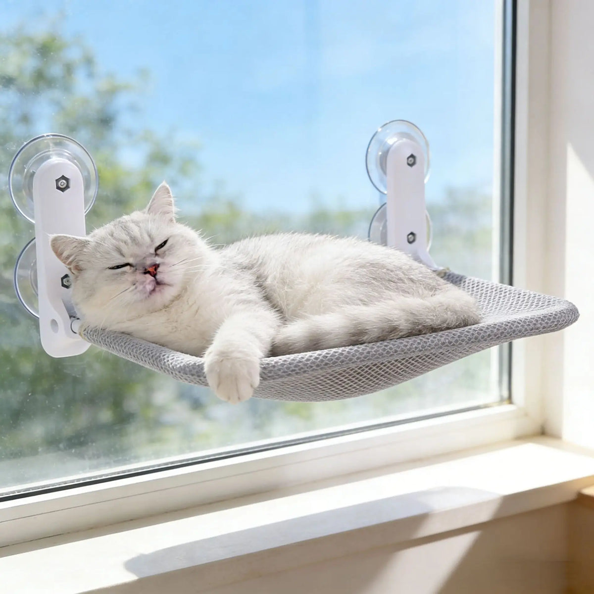 Cat Hammock Foldable Window Suction Cup - MyPetDollar.com