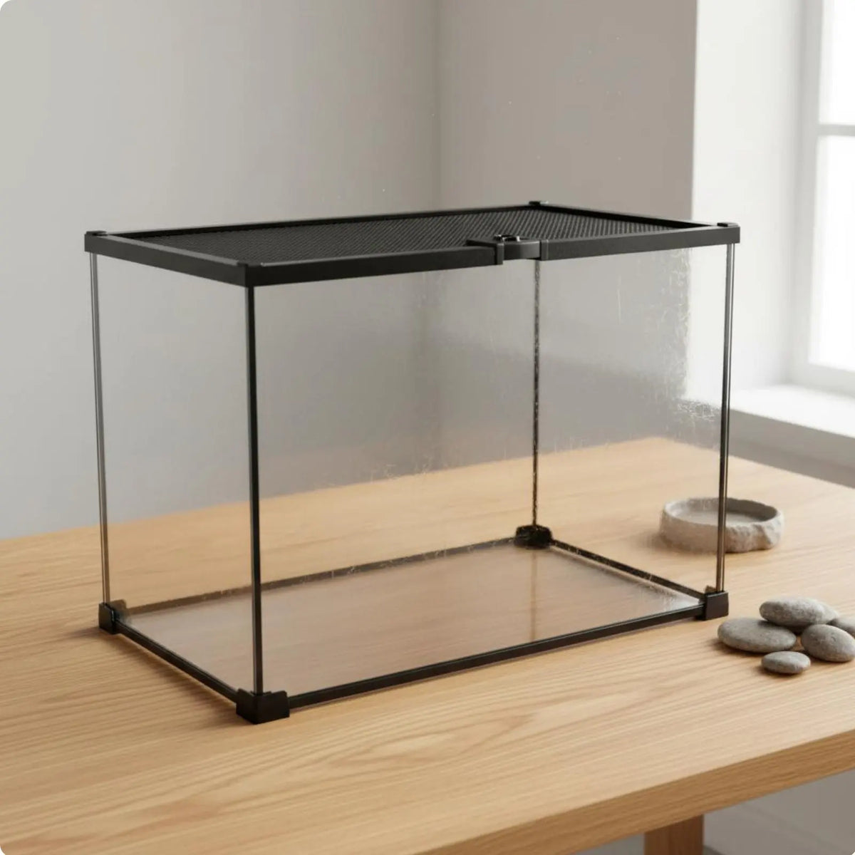 Glass Amphibian Terrarium