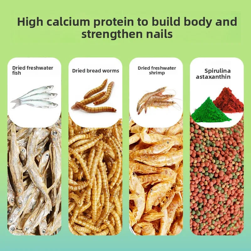 DEERA Dried Shrimp & Fish for Turtles - High - MyPetDollar.com