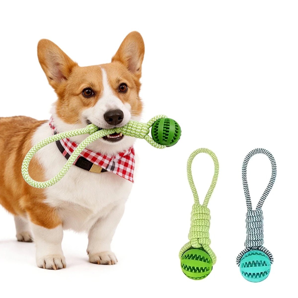 Dog Chew Toy Cotton Rope Tug Toy with Treat - MyPetDollar.com