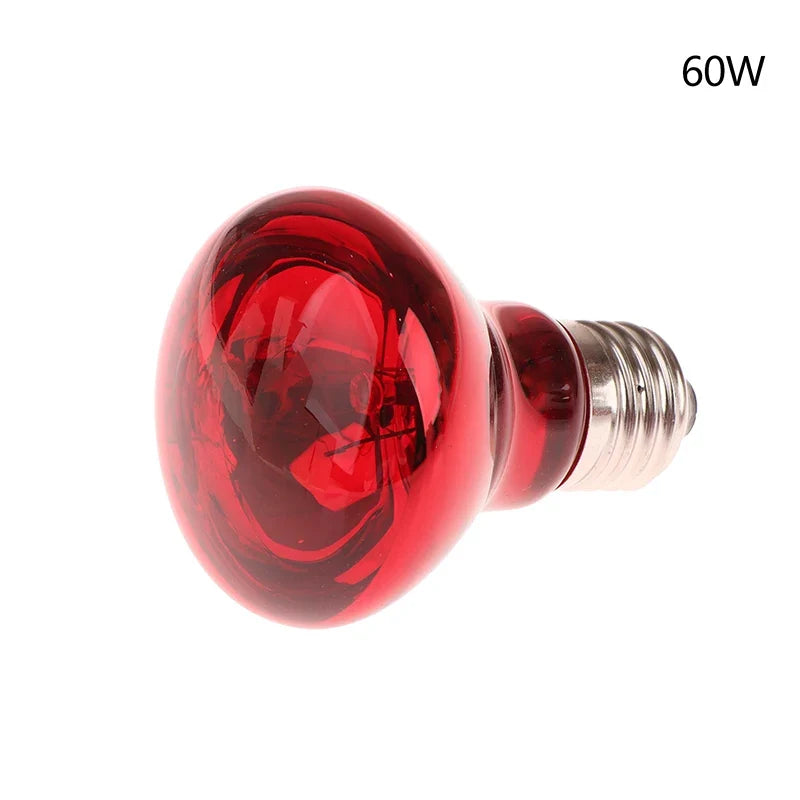 25 40 50 60 75 100w E27 UVA Poultry Bulb Infrared Night Light – 6 Colors