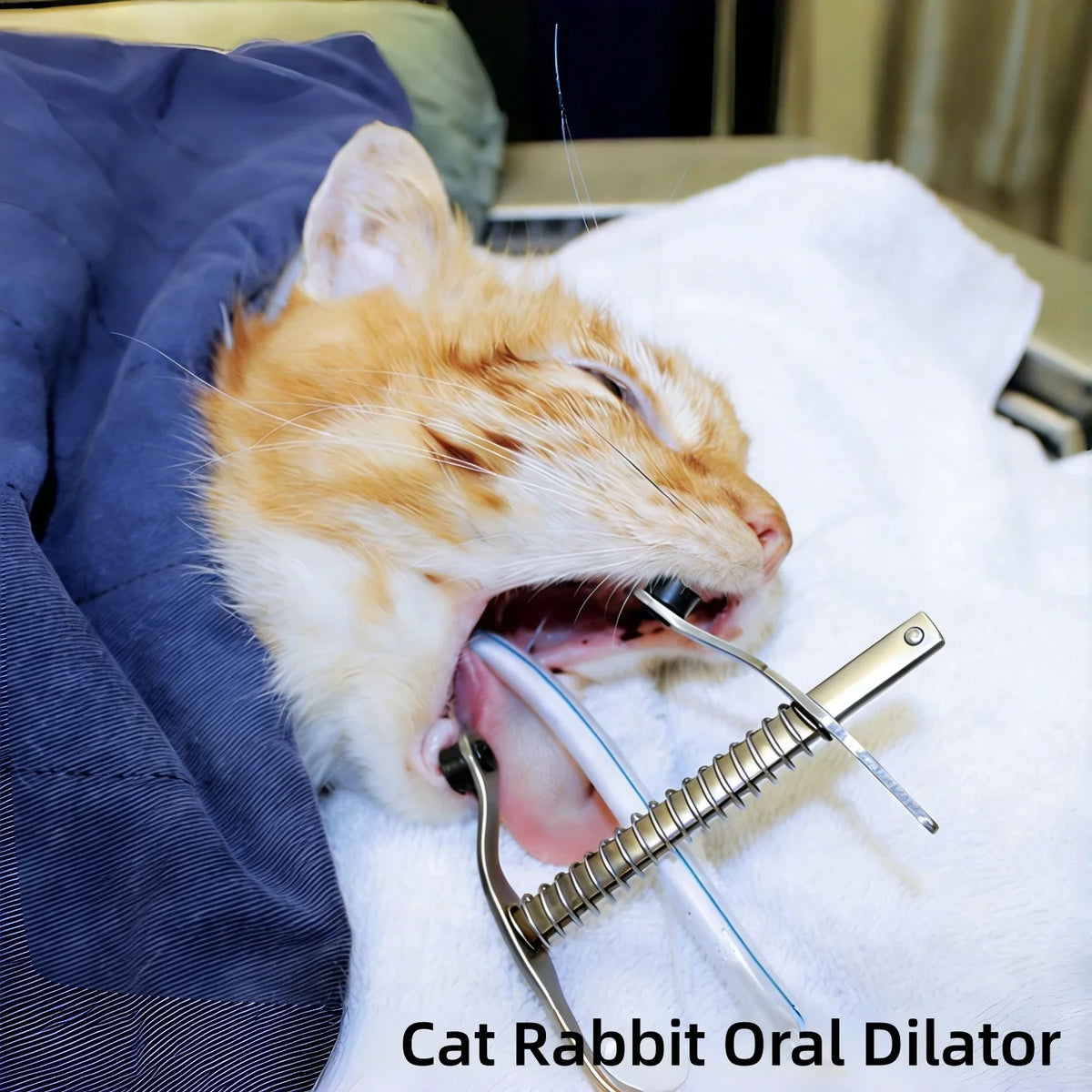 Small Animal Mouth Opener, Cat Rabbit Dental - MyPetDollar.com