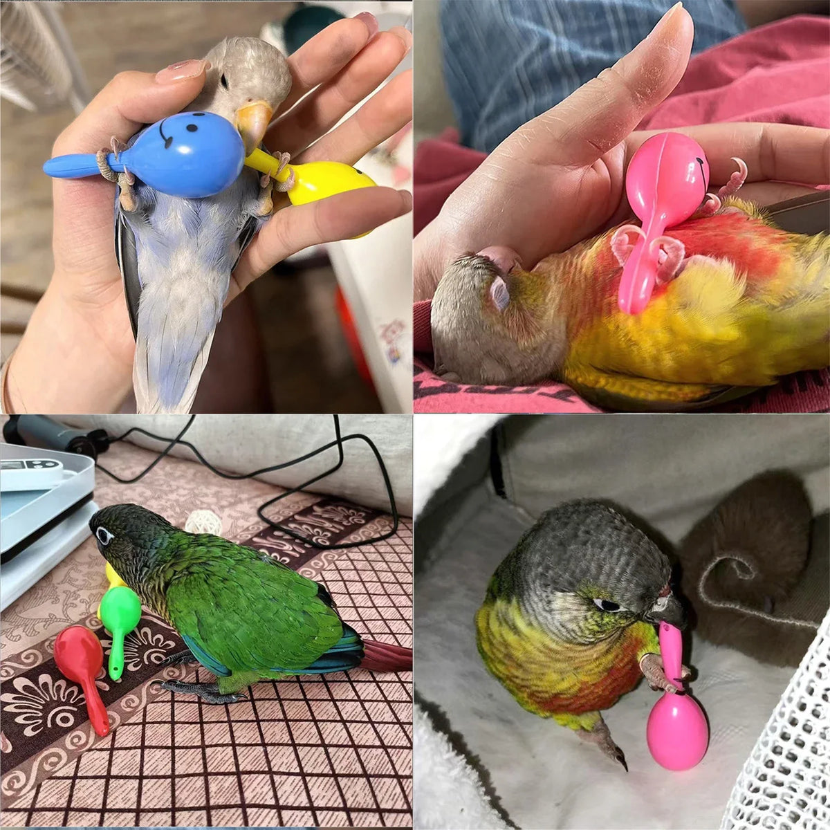 Cute Parrot Rattle Sand Hammer Sand Ball - MyPetDollar.com