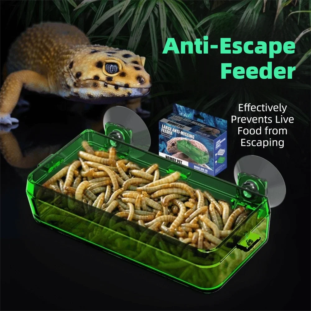 Anti-Escape Reptile Feeder Bowl Plastic - MyPetDollar.com