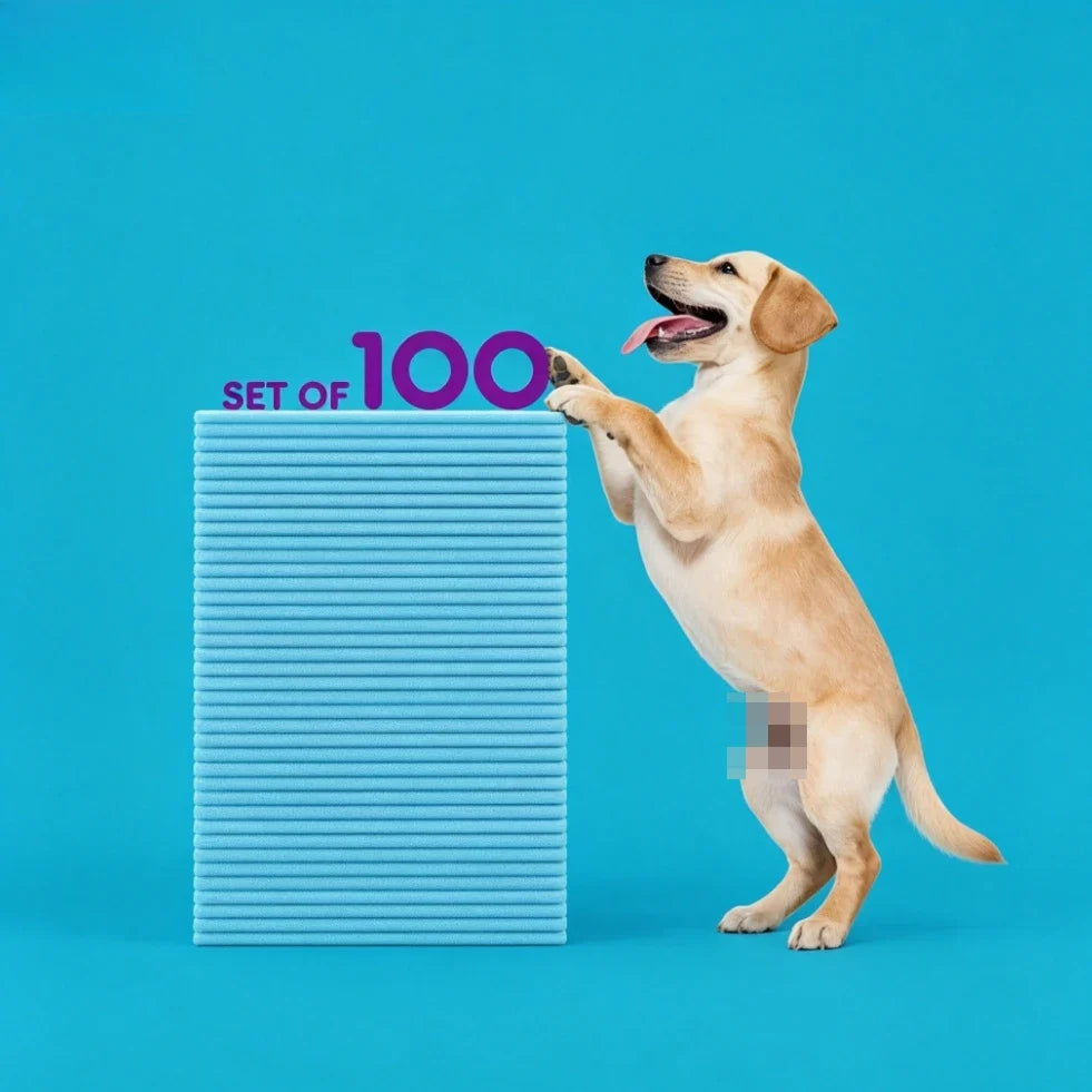 Disposable Dog Pee Pads Super Absorbent and - MyPetDollar.com