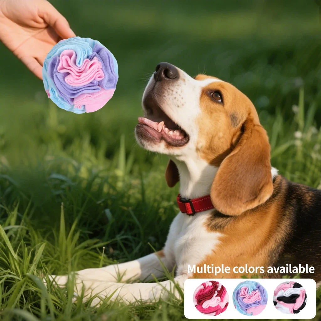 Pet Snuffle Ball for Dogs, Interactive - MyPetDollar.com
