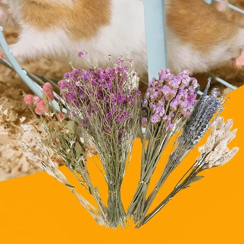 Handcrafted Hamster Cage Decors Dried Flower - MyPetDollar.com