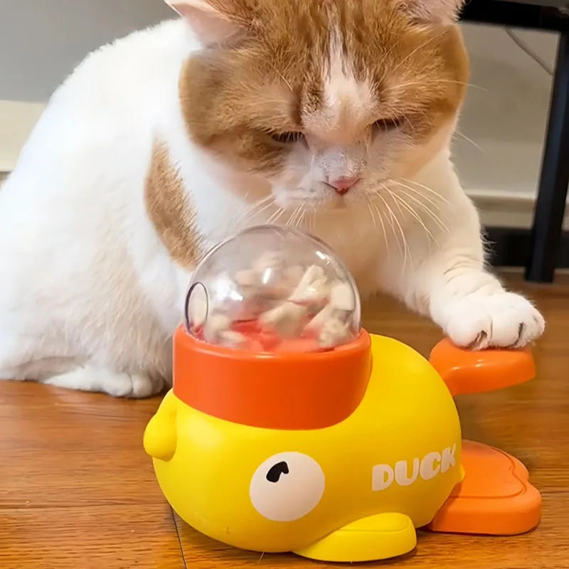 Dog, cat, pet feeder, little yellow duck, - MyPetDollar.com