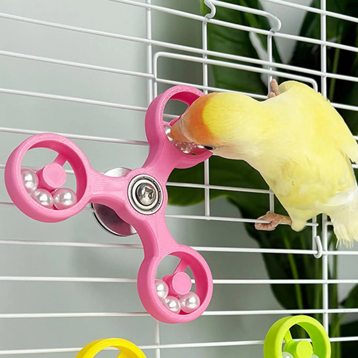 Chewing Bird Toys, Parrot Toys, Funny - MyPetDollar.com