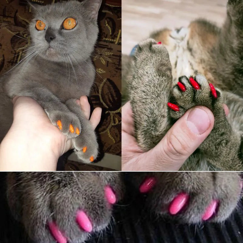 20pcs Cat Nail Caps Pet Cat Soft Paws Nail - MyPetDollar.com