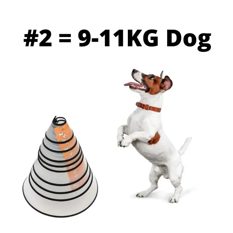 Pet Elizabeth Collar Puppy Anti Bite - MyPetDollar.com