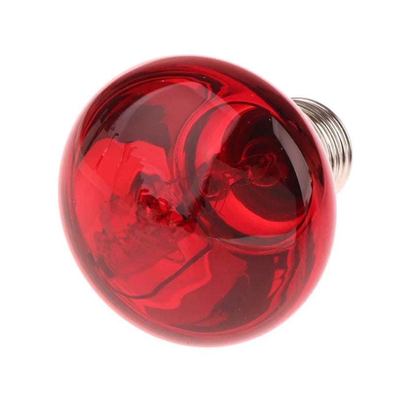 NEW 25/40/50/60/75/100W E27 UVA Poultry Bulb - MyPetDollar.com