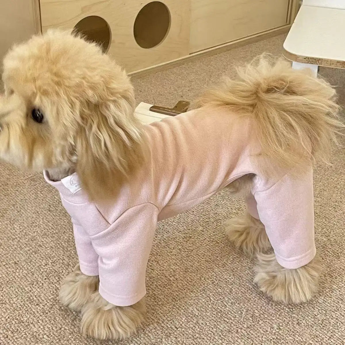 Dog Pajamas for Small Medium Dogs Recovery - MyPetDollar.com