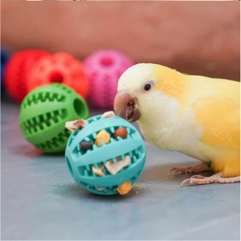 Natural Rubber Pet Dog Toys Dog Chew Toys - MyPetDollar.com