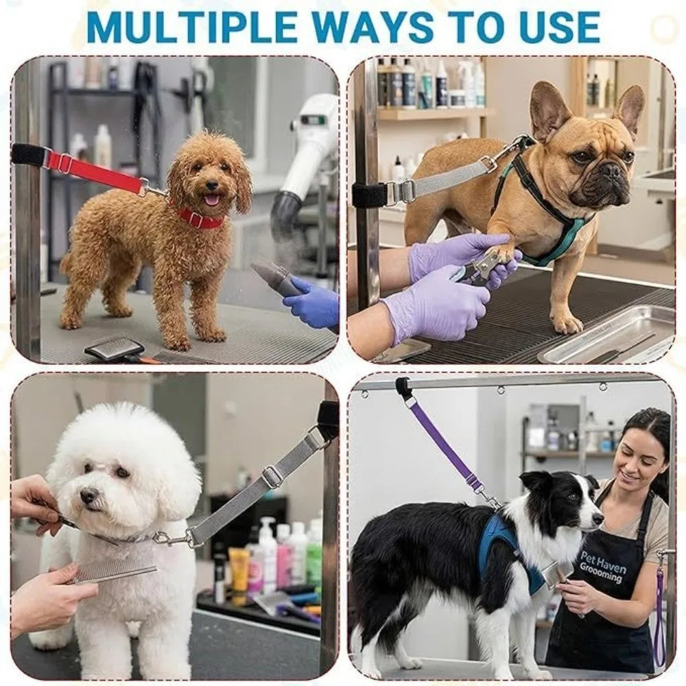 Basic Design Dog Grooming Leashes Elastic - MyPetDollar.com