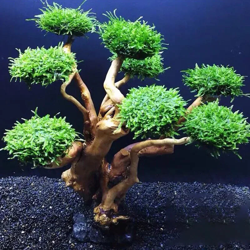 Fish Tank Plant Moss Tree Decoration - MyPetDollar.com