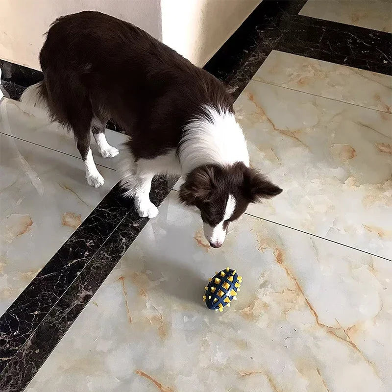 Dog Rubber Rugby, Soft Spines, Teeth - MyPetDollar.com