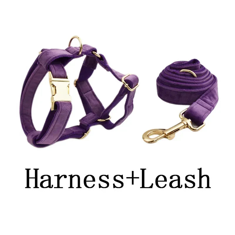 Purple Velvet Dog Collar And Leash Set For - MyPetDollar.com