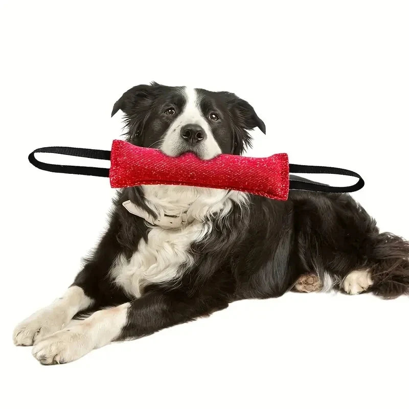 Dog Tug Plaything Outdoor of War Puppy Training Chewing – 2 Colors
