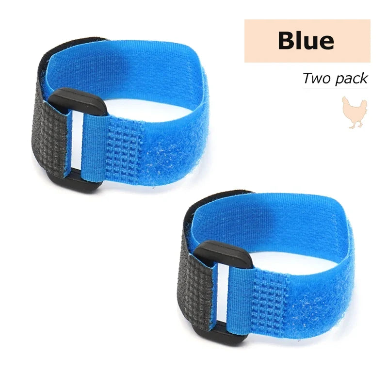 No Crow Rooster Collar – 5 Colors