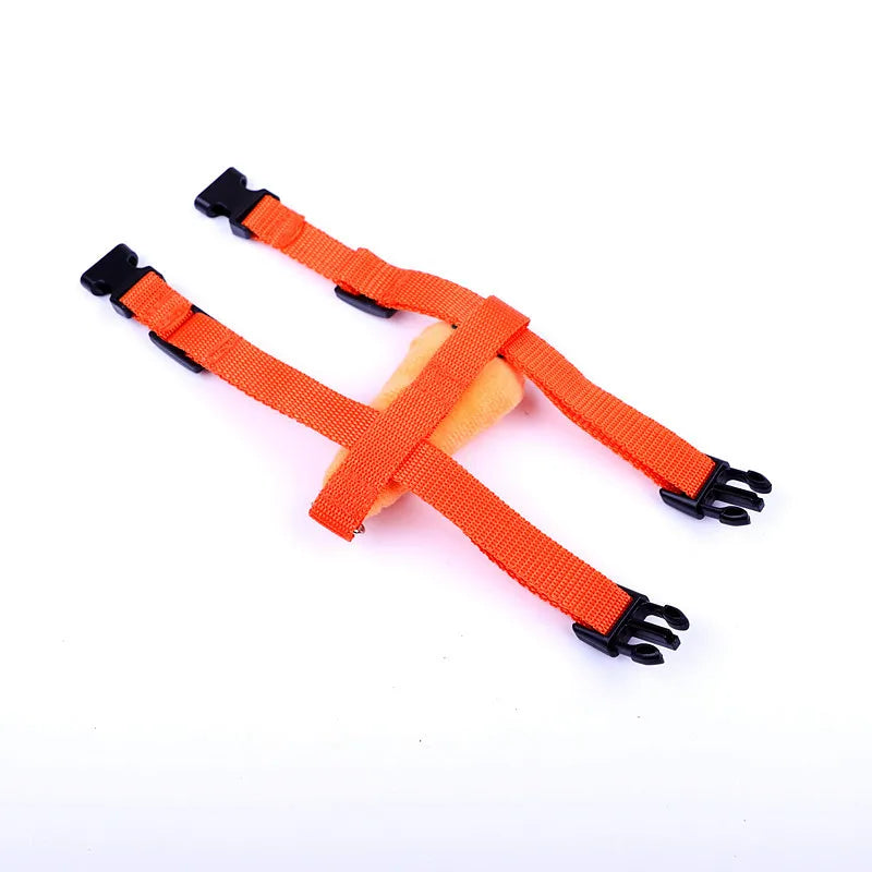 Small Animals Outdoor Wakling Supplies - MyPetDollar.com