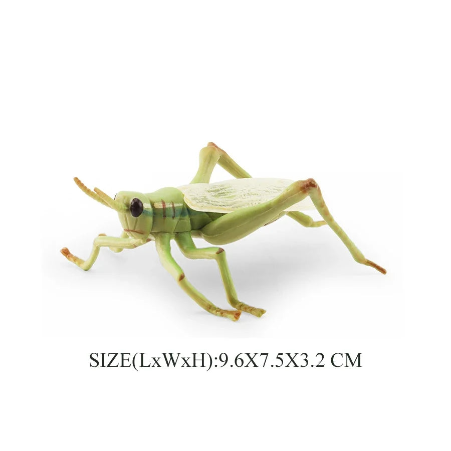Realistic Insect Grasshopper Mosquito Cicad Ladybug Butterfly – 43 Colors