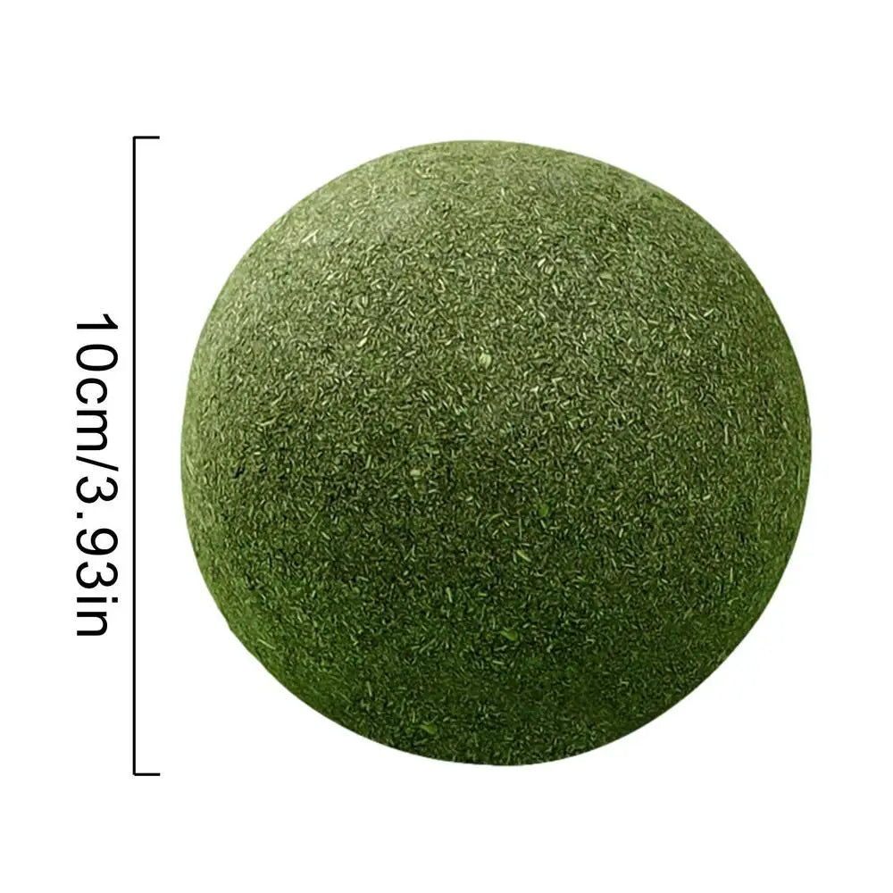 10cm Large Catnip Balls Bite Toy for Cats