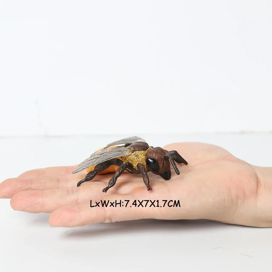 Realistic Insect Grasshopper Mosquito Cicad - MyPetDollar.com