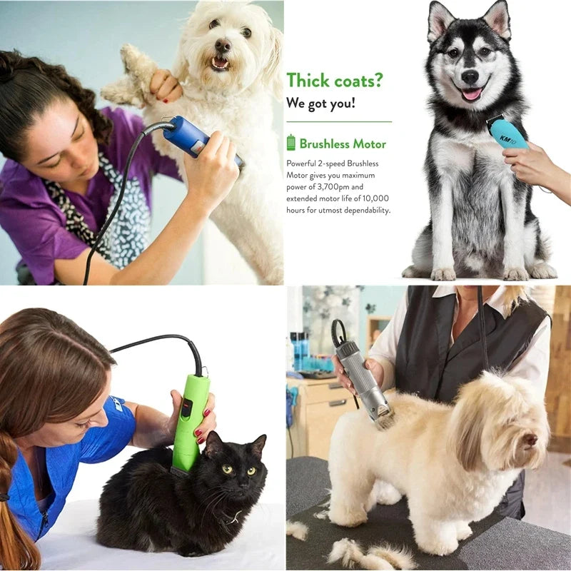 3F,4F,5F,7F,9#,10#,30#,40#,50# Professional - MyPetDollar.com