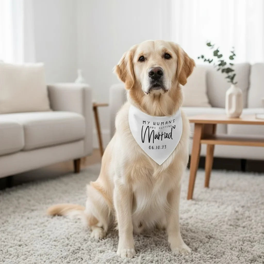 1 Piece Personalized Dog Head Scarf, Pet Cat - MyPetDollar.com
